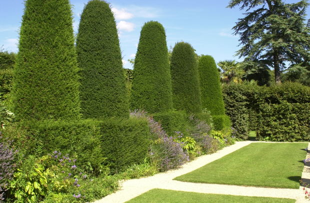 Haie taillée avec des outils jardinage pros