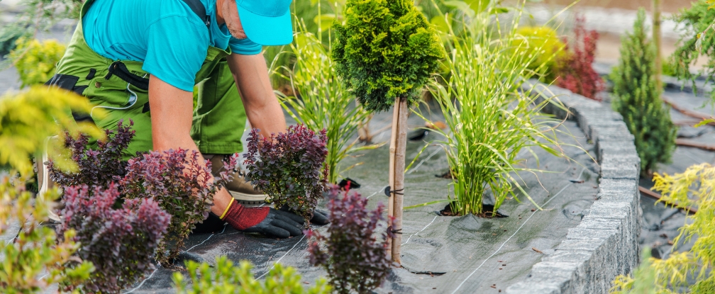 Outil de jardinage : les 10 indispensables du jardinier amateur