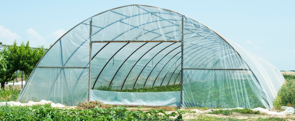 Comment fabriquer une serre de jardin avec des tuyaux en pvc