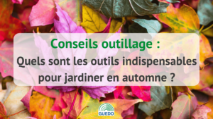 Outils indispensables pour jardiner en automne