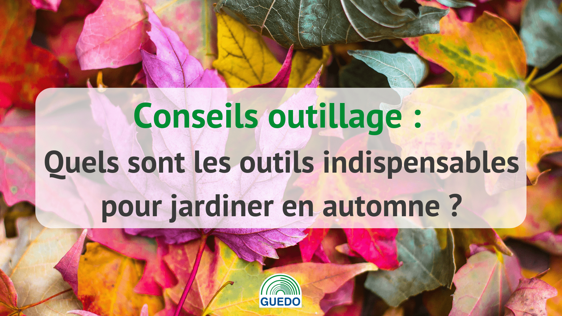 Outils indispensables pour jardiner en automne