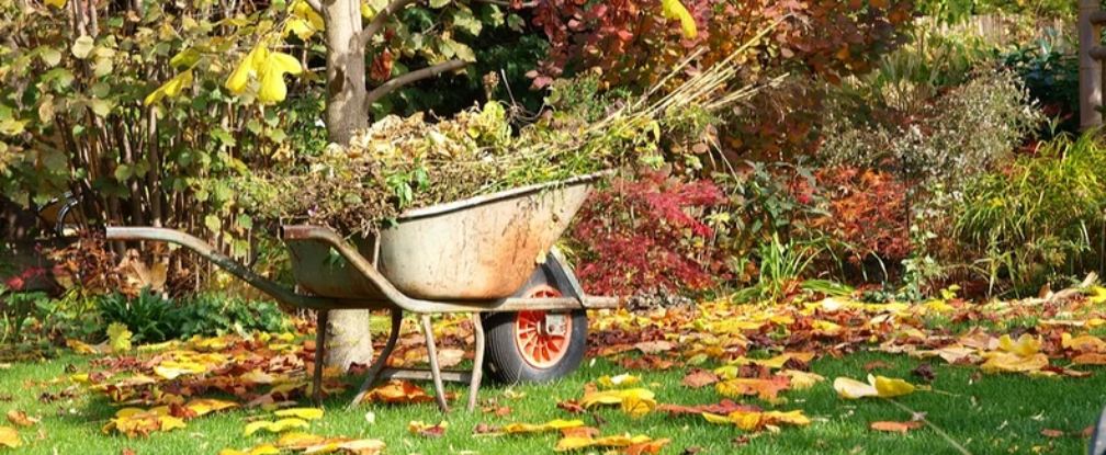 Les tendances outillage automne 2025