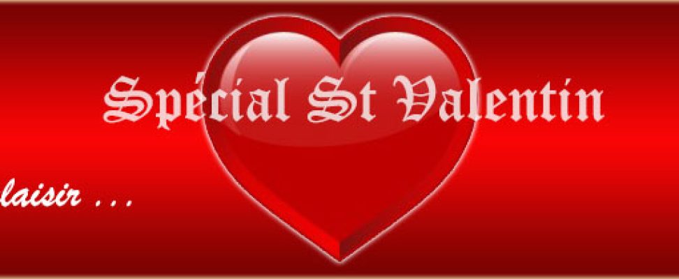 Carroussel_St_Valentin_2013