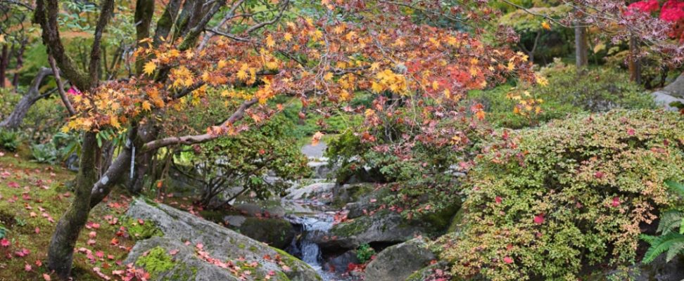 Comment préparer son jardin à l’automne