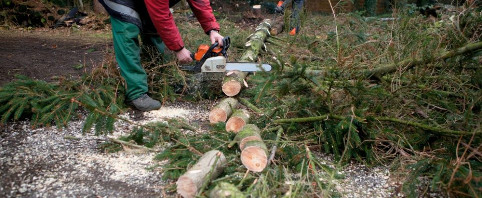 Comment scier son bois de chauffage