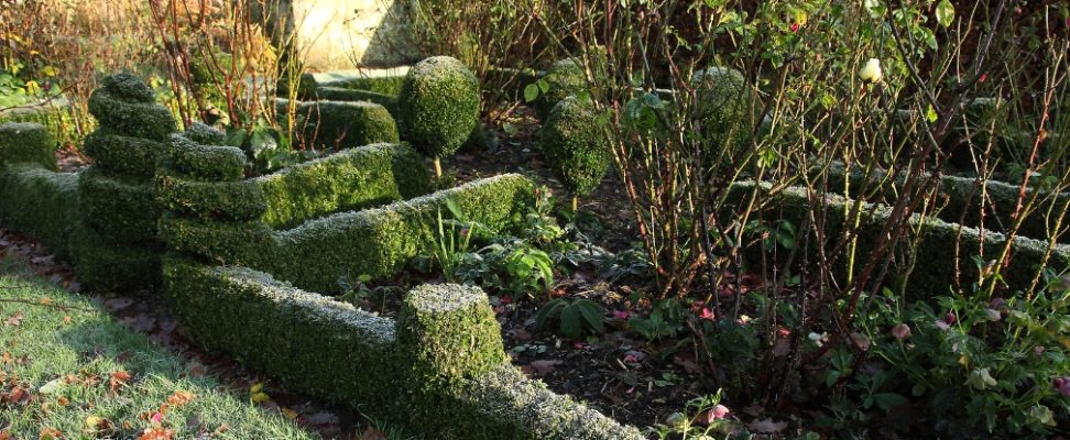 Hivernage des plantes : Matériel de jardinage et jardin - botanic®