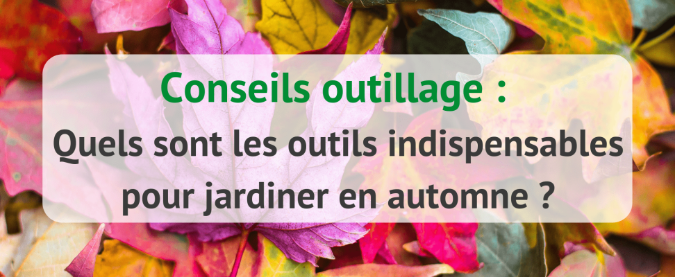 Outils indispensables pour jardiner en automne