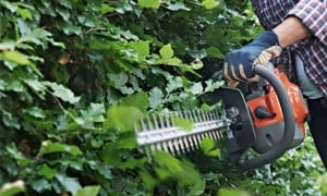 Taille haie thermique professionnel : coupe haie à essence