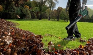 Aspirateur et souffleur de feuilles sans fil professionnel pour jardin