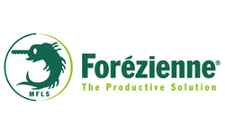 Mfls forezienne