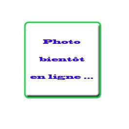 Mèche carbure queue d aronde double pointe 1740121 virutex