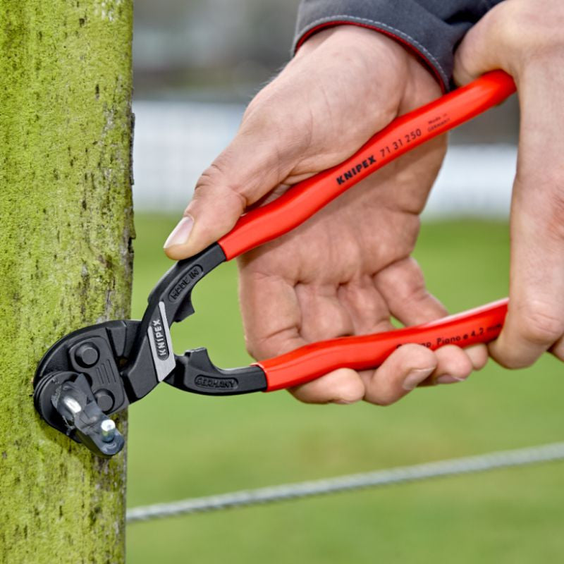Coupe-boulons cobolt avec évidement 71 31 knipex