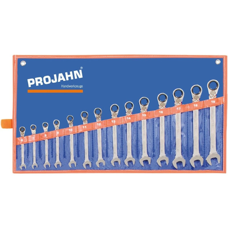 PROJAHN Trousse 14 clés à cliquet réversibles 6 à 19 mm - 3994