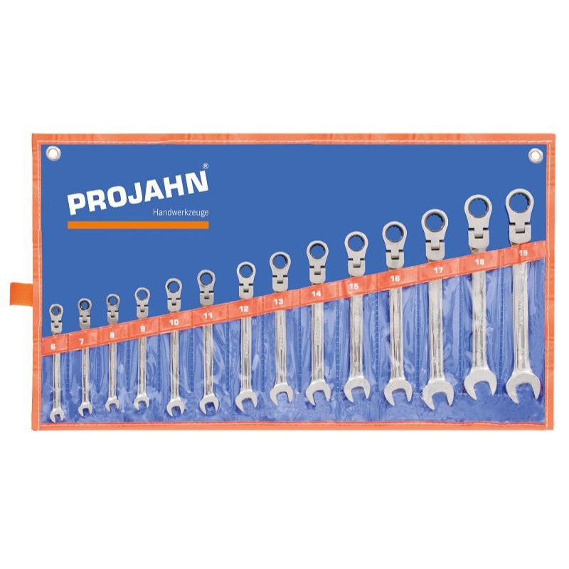 PROJAHN Trousse 14 clés à cliquet articulées 6 à 19 mm - 3493