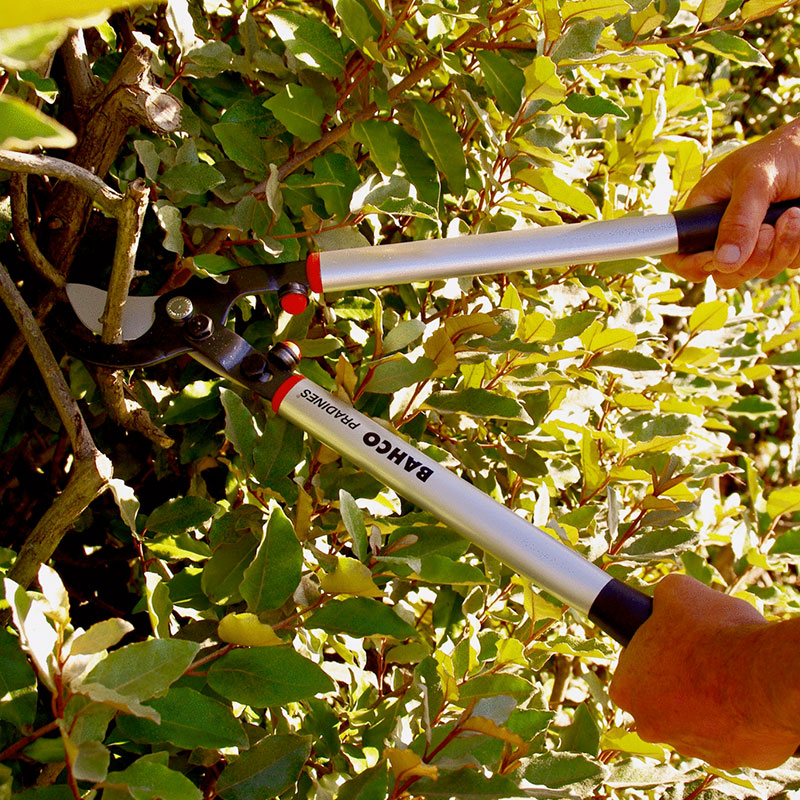 BAHCO Ebrancheur demultiplie 60cm - P280-SL-60