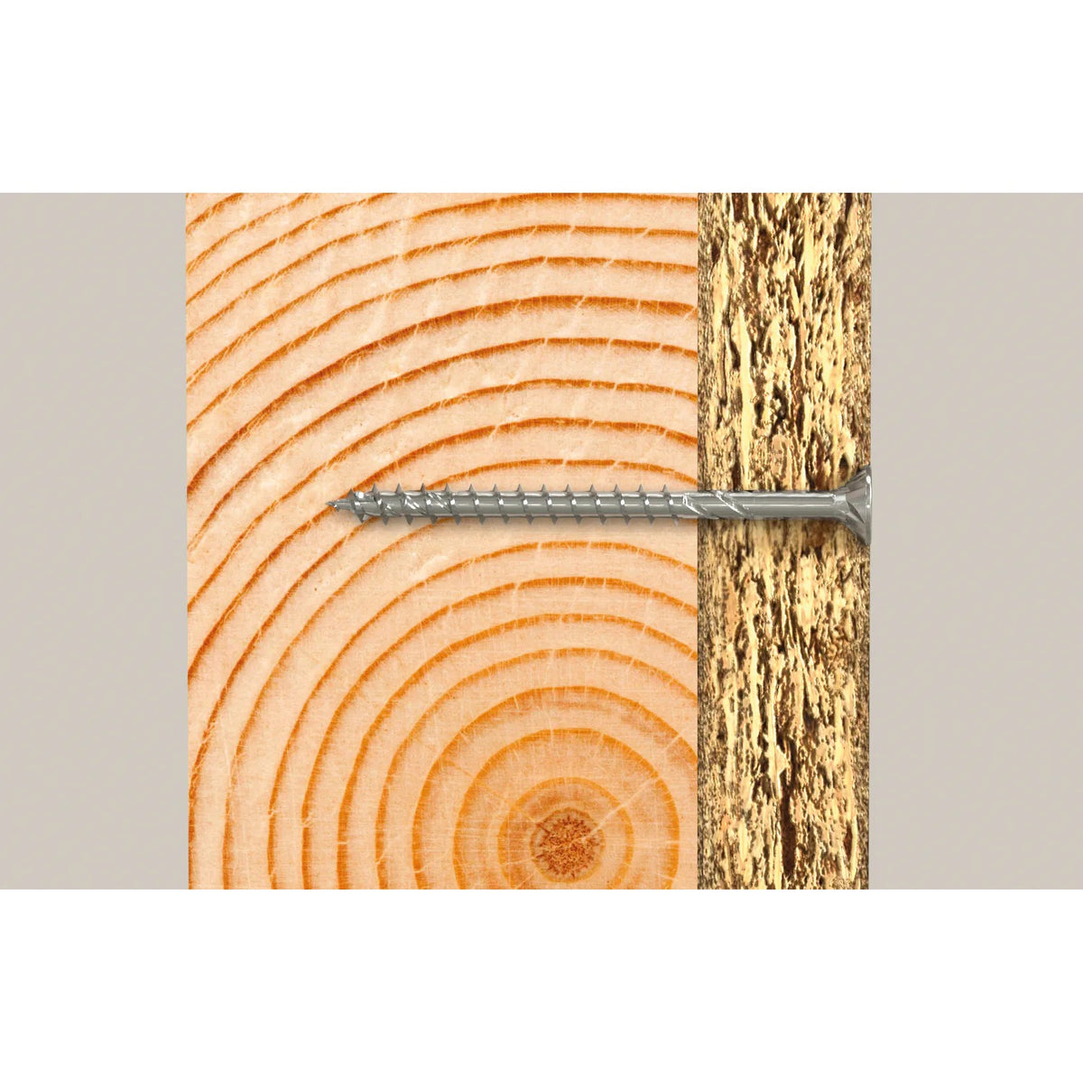FISCHER L-Boxx 1800 vis Torx Power-Fast II - 560783