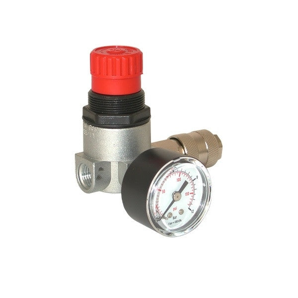 Détendeur micron 1/4 f, 0-12 bar 315100 lacme